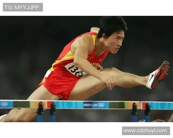 成都乒乓球队的成长之路：世锦赛背后的奋斗与荣耀故事