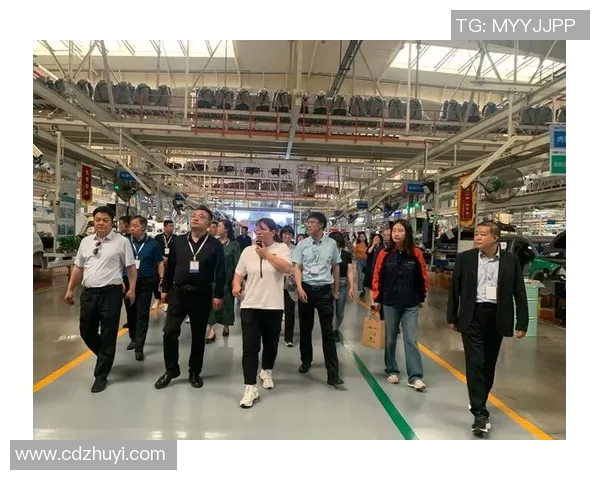 杭州排球队转型之路揭秘:从传统强队到现代化竞技新标杆 杭州排球队转型之路揭秘:从传统强队到现代化竞技新标杆