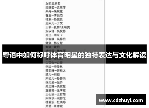 粤语中如何称呼体育明星的独特表达与文化解读